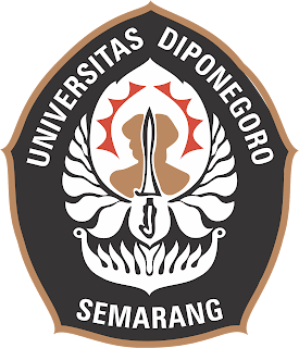 UNDIP